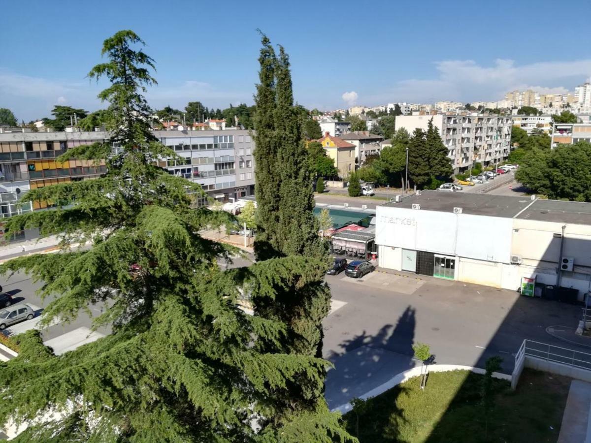 Apartment Tonika *